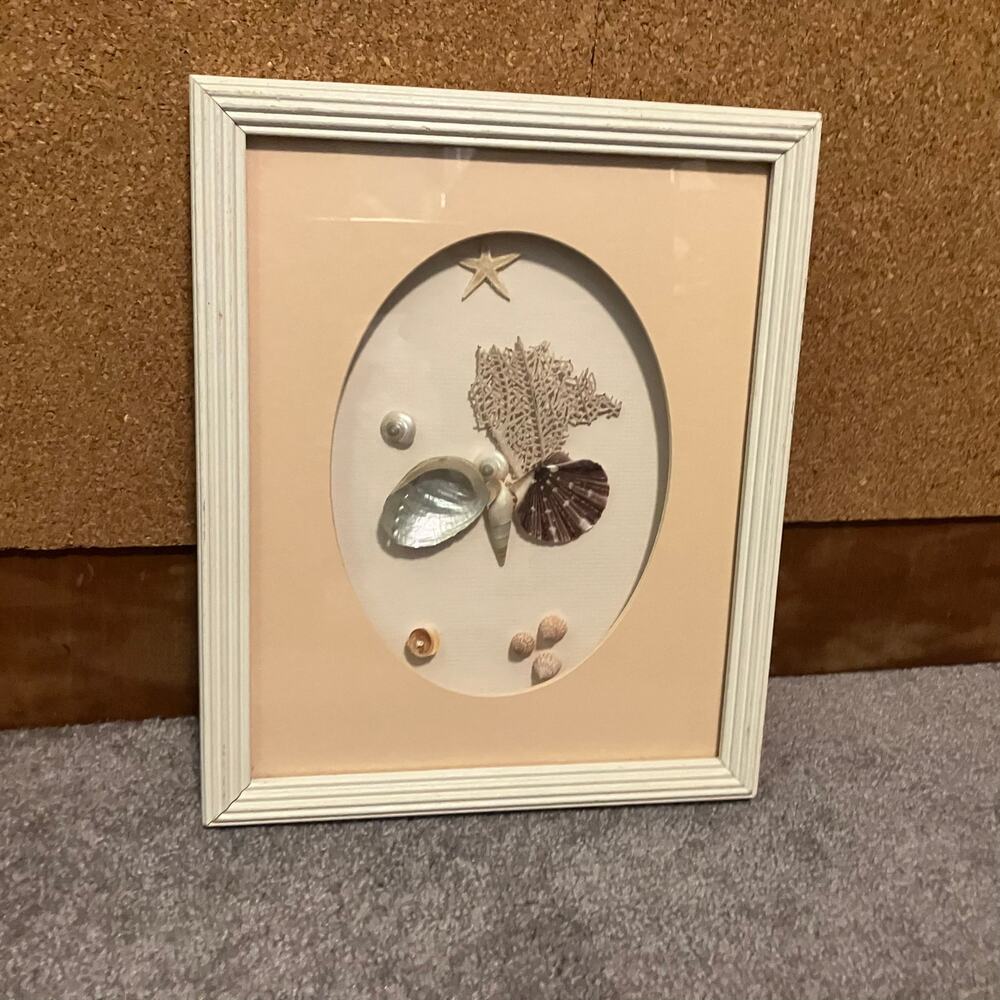 Seashell collage framed wall art, fishermancore cottagecore nautical mermaidcore